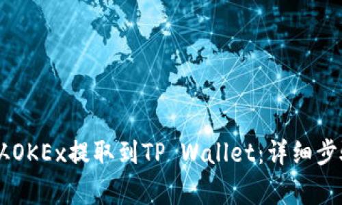 如何将SHIB从OKEx提取到TP Wallet：详细步骤与注意事项