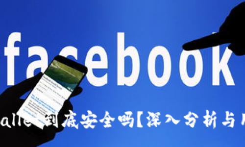 :
国际版TP Wallet到底安全吗？深入分析与用户体验分享