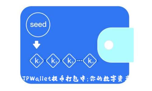 深入解析TPWallet提币打包中：你的数字资产安全攻略