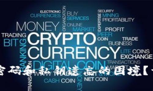 如何应对TPWallet密码和私钥遗忘的困境？详细解决方案与建议