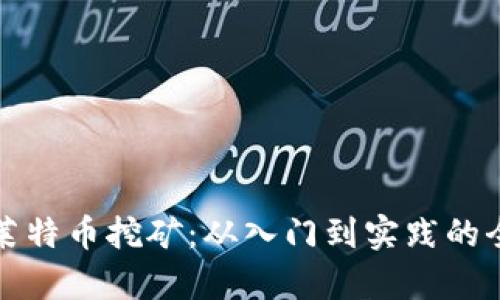 全面解析莱特币挖矿：从入门到实践的全流程指南