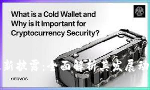 五行币官网最新披露：全面解析其发展动态与市场前景