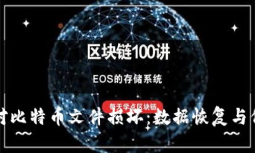 如何应对比特币文件损坏：数据恢复与保护指南